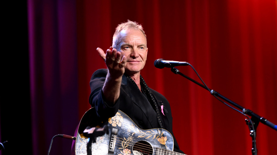 סטינג (צילום: Noam Galai/Getty Images for Breast Cancer Research Foundation)