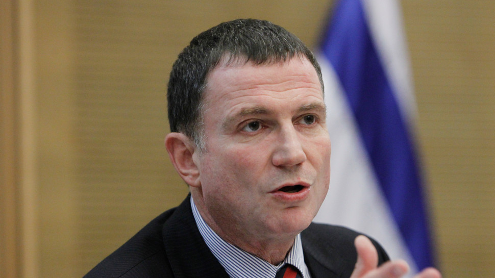 יולי אדלשטיין (צילום: פלאש 90)