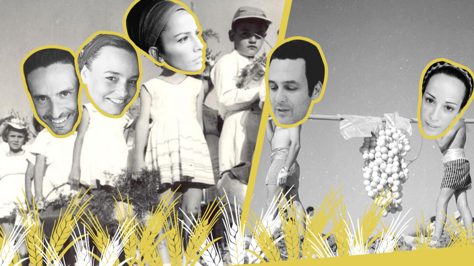 סלבס שבועות (צילום: אילוסטרציה)