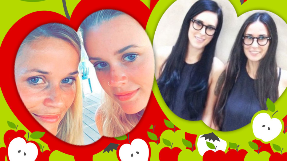 תפוחים של כוכבים (צילום: אילוסטרציה)