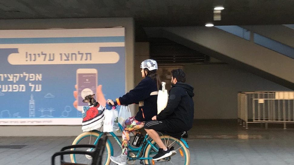 יהודה לוי, שלומית מלכה (צילום: אבשלום ששוני)