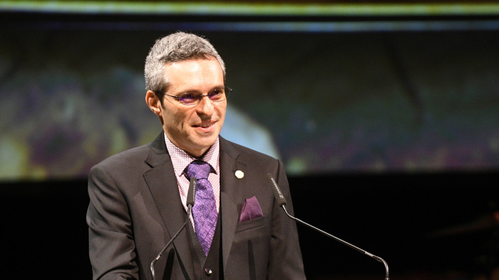 אריאל דוד (צילום: ישראל הררי)