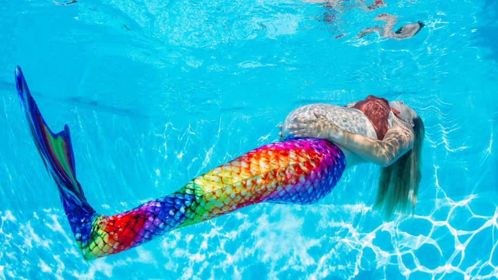 ליהיא גרינר (צילום: אורן כהן)