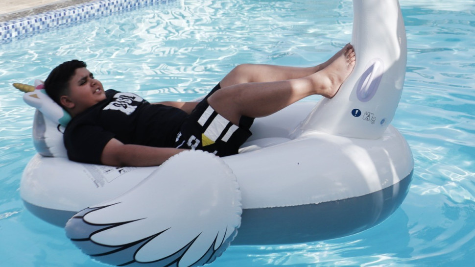 דקל וקנין (צילום: טוהר זנתי)