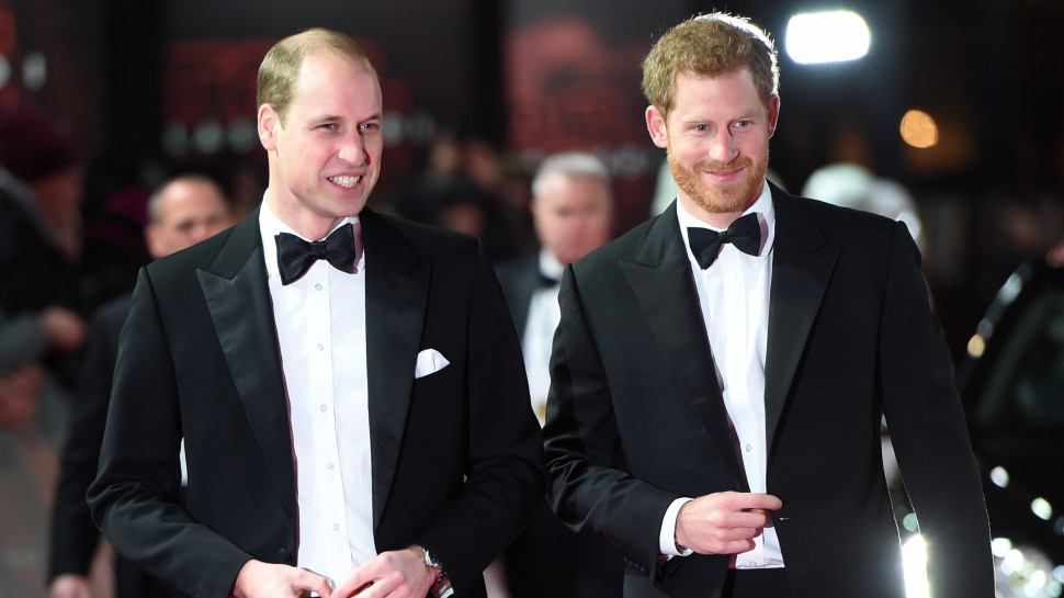הנסיך הארי, הנסיך וויליאם (צילום:  WPA Pool/getty images)