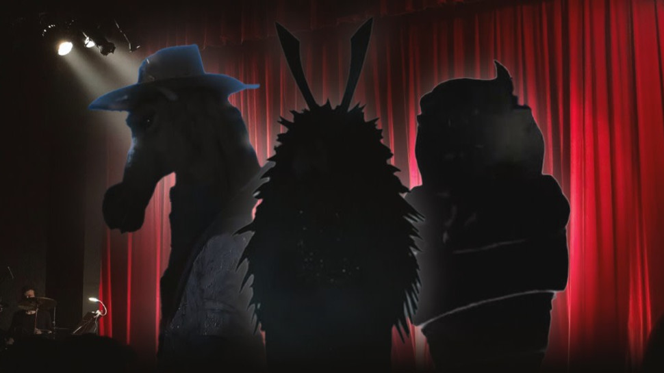 הזמר במסכה (צילום: באדיבות קשת 12)