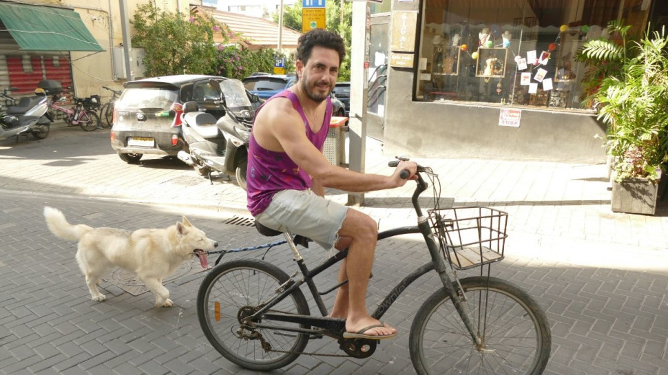 דני זיסקינד (צילום: אמיר מאירי)