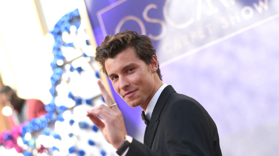 שון מנדס (צילום: VALERIE MACON/AFP via Getty Images)