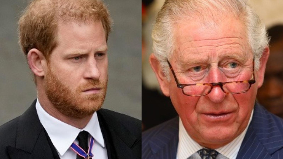 המלך צ'ארלס השלישי , הנסיך הארי (צילום: Christopher Furlong gettyimages, Tim P. Whitby gettyimages)