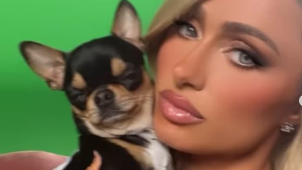 פריס הילטון (צילום: צילום מסך אינסטגרם)