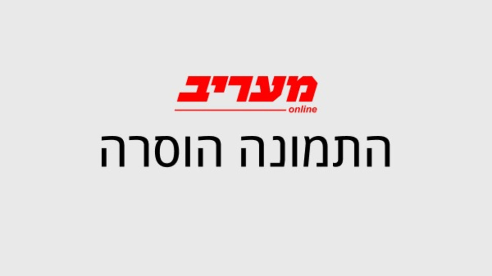 מעריב אונליין - זכויות יוצרים (צילום: מעריב אונליין)