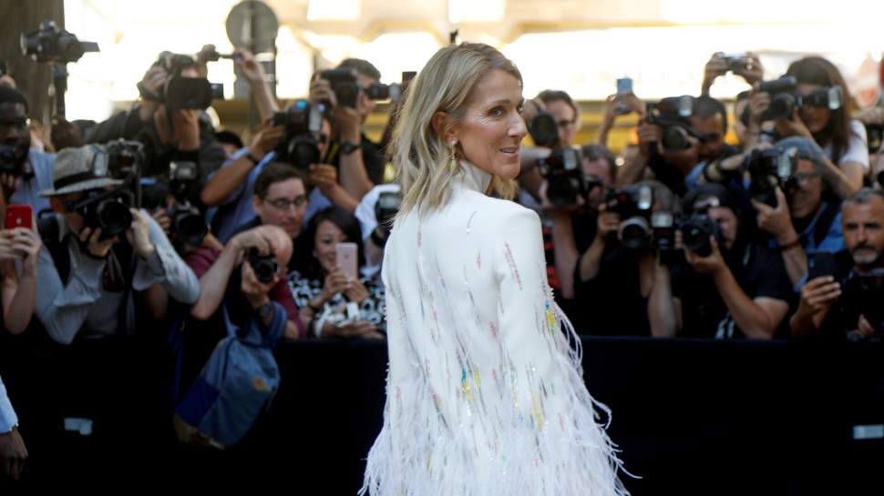 סלין דיון (צילום: REUTERS/Charles Platiau)