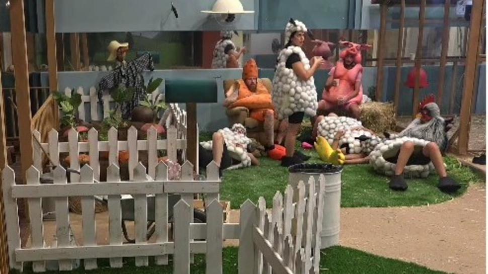 הדיירים מבחינים ברחפן מעל בית האח הגדול (צילום: ערוץ 26)