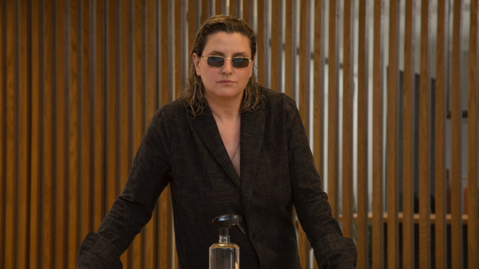 ציפי רומנו (צילום: אור גפן)