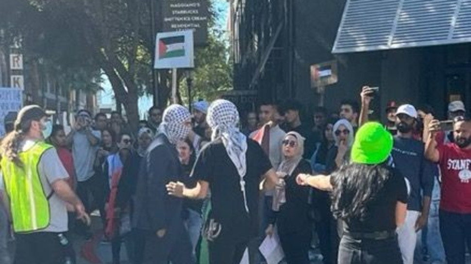 מפגינים ישראלים הותקפו על ידי מפגיני פרו פלסטיו (צילום: מתוך טוויטר)