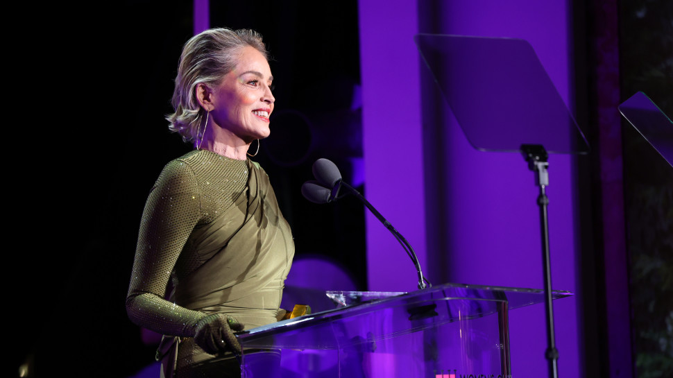 שרון סטון (צילום:  Monica Schipper \ Getty Images)