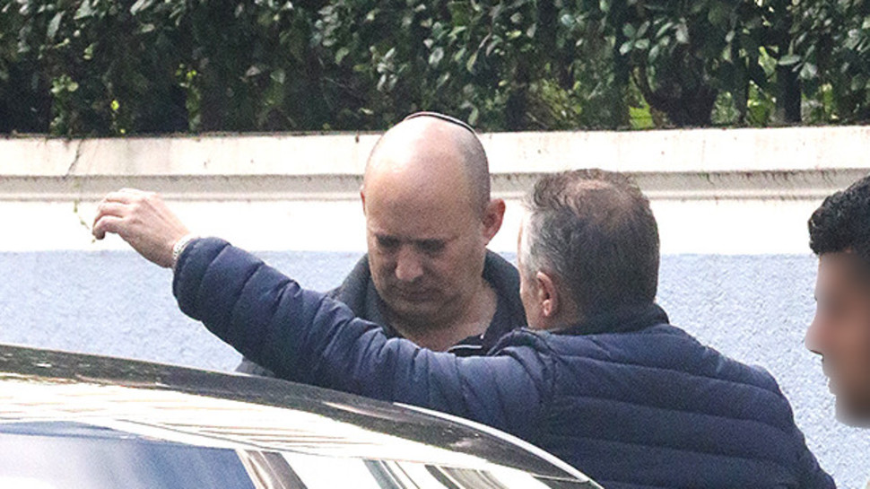 קרן פלס (צילום: פול סגל)