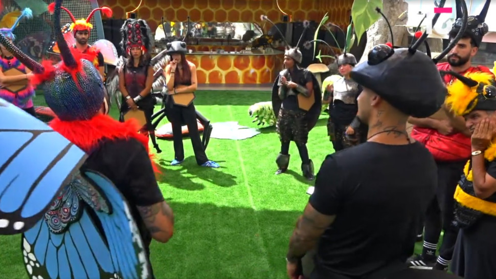 האח הגדול (צילום: צילום מסך מתוך רשת 13)