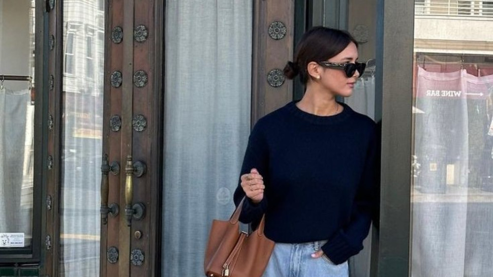 תיק הרמס פיקוטין (צילום: צילום מסך)