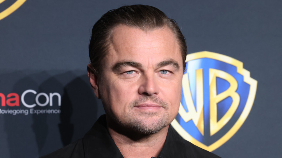 ליאונרדו דיקפריו (צילום:  Gabe Ginsberg/Getty Images)