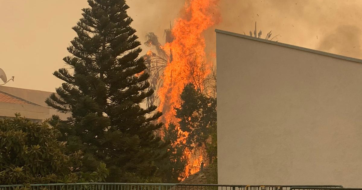 ×©×¨××¤××ª ×'×