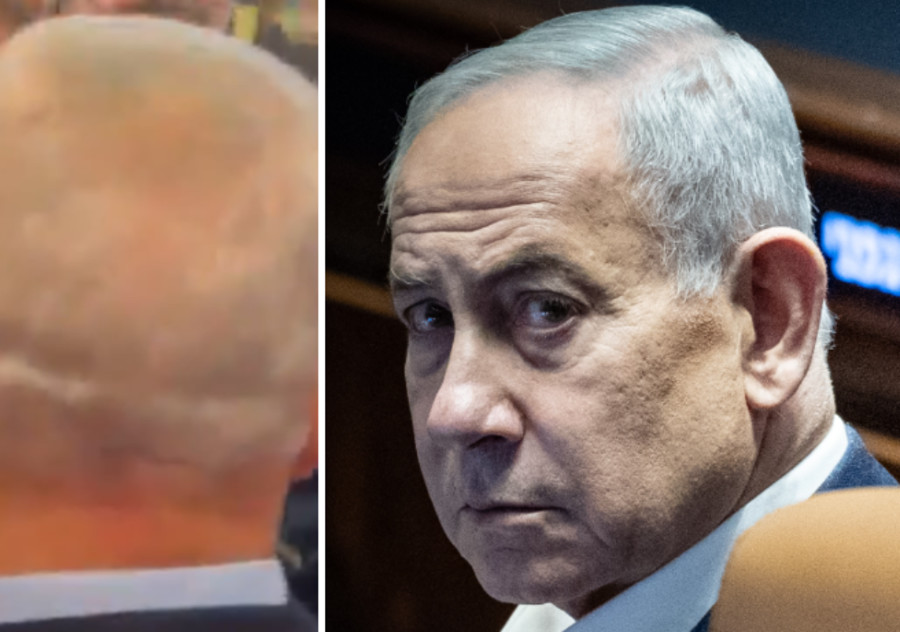 בנימין נתניהו (צילום: Yonatan Sindel/Flash90, צילום מסך אנה ברסקי רשתות חברתיות)