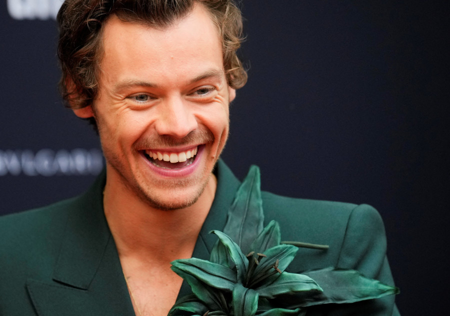 הארי סטיילס (צילום: רויטרס)