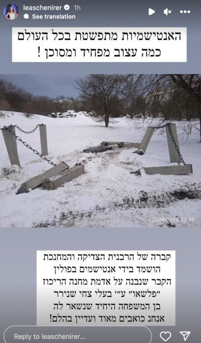 לאה שנירר (צילום: צילום מסך מתוך האינסטגרם)