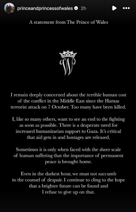 הנסיך וויליאם (צילום: צילום מסך מתוך האינסטגרם)