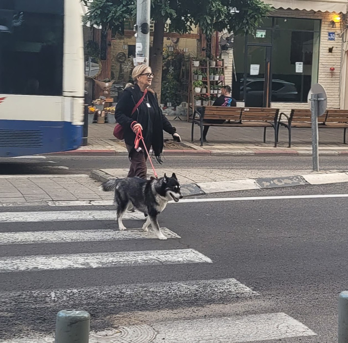 ענת עצמון (צילום: ניר פקין)