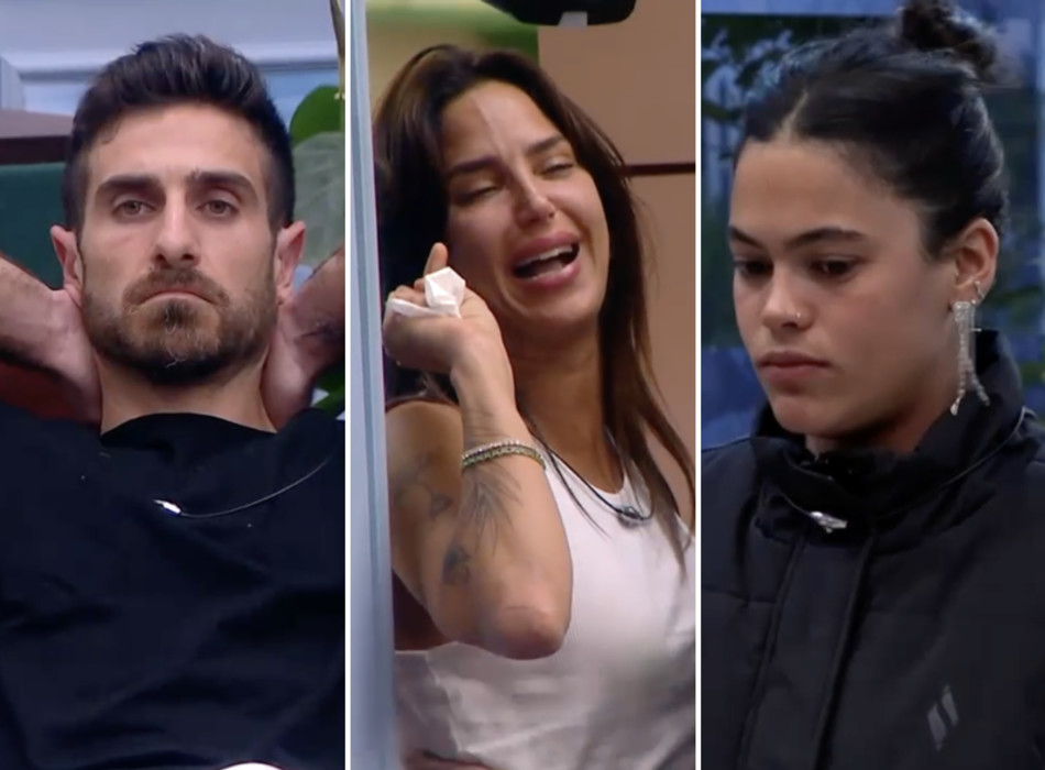 תמיר גולן, גל רובין וטל טיטו (צילום: רשת 13)