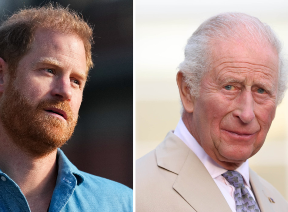 המלך צ'ארלס, הנסיך הארי (צילום: Asanka Ratnayake/Getty Images, Ian Vogler - Pool / Getty Images)