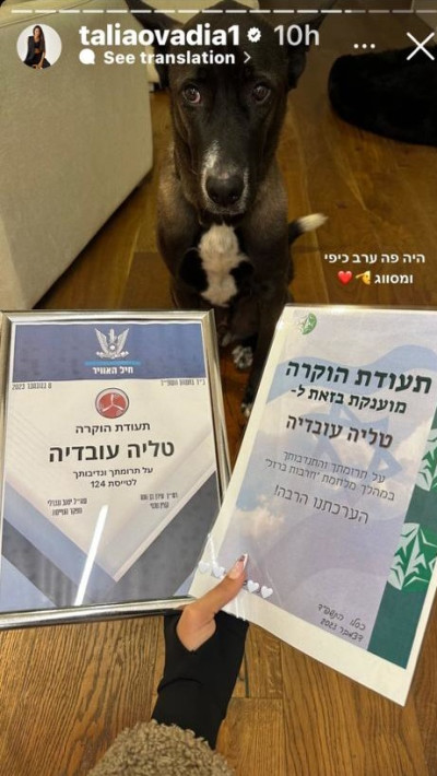 טליה עובדיה (צילום: צילום מסך אינסטגרם)