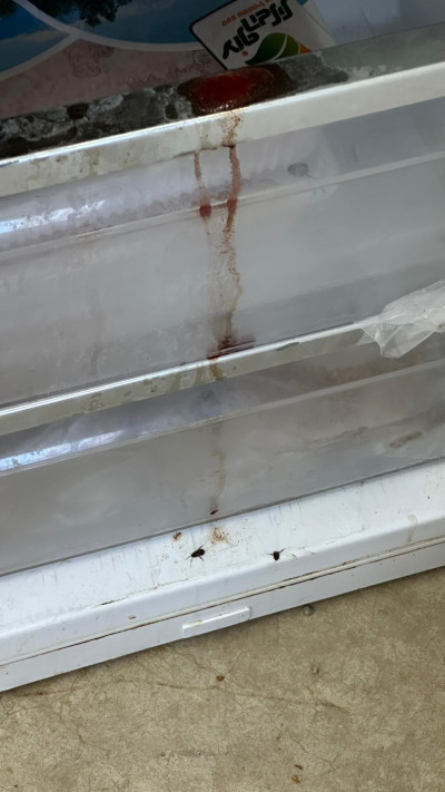 ג'וקים וכתמי דם במקרר במטבח הצבאי