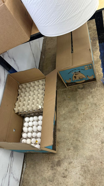 ביצים מחוץ לקירור, כשבחוץ טמפרטורה גבוהה