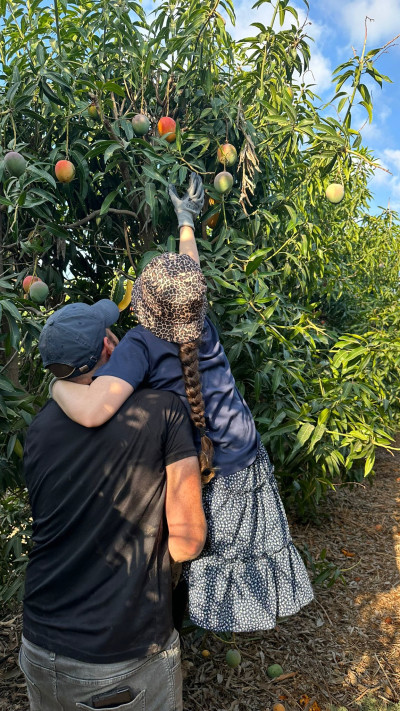 משקמים את החקלאות