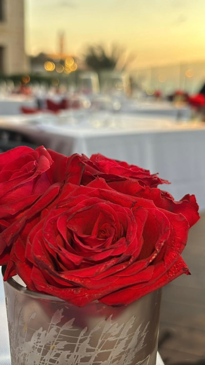 מסעדת ג'אפון 