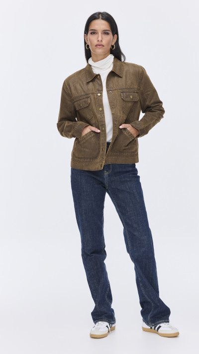 plan b סתיו חורף 25-26 