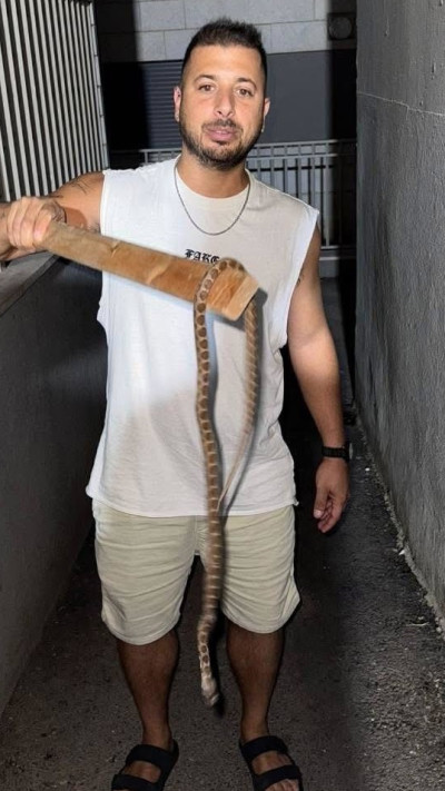 תפיסת נחש בטבריה