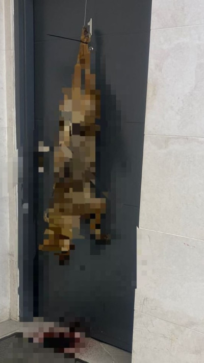 תיעוד הפגר על הדלת