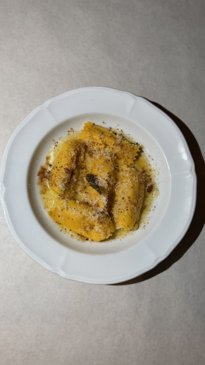 פארדיסו, אניילוטי