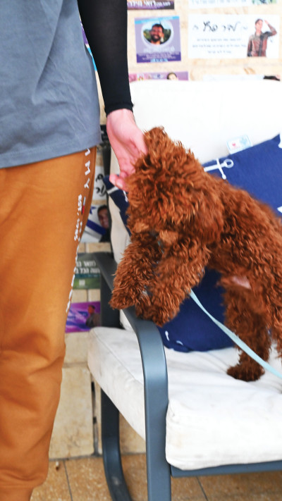 רסן ד', מ''פ בסיירת גולני, נפצע במהלך מלחמת ''חרבות ברזל''