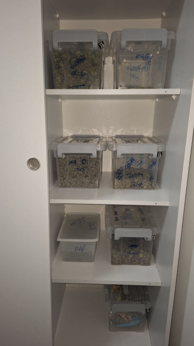 מעבדת הסמים שאותרה בדירה בבאר שבע