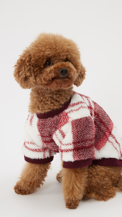 fix קולקציית חורף (צילום: שחר ארביב)