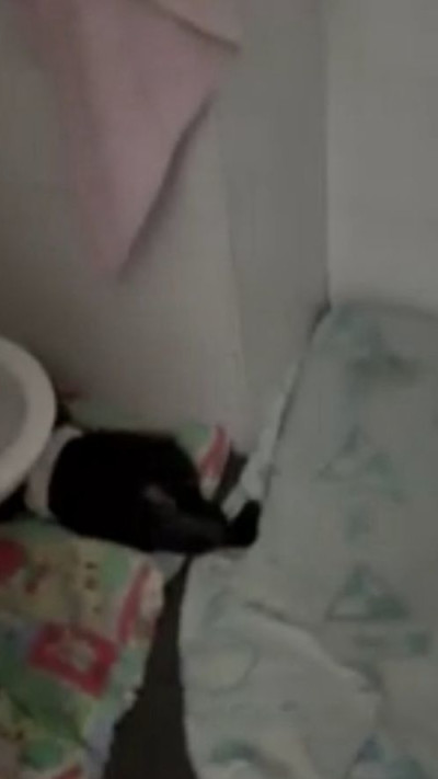 פעוט ישן על הרצפה בשירותים בפעוטון בירושלים