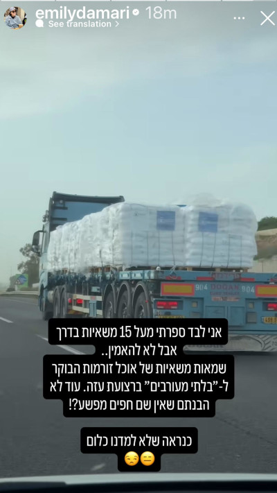 הסטורי של אמילי דמארי (צילום: אינסטגרם)