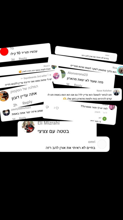 בריונות ברשת (צילום: צילום מסך טיקטוק)