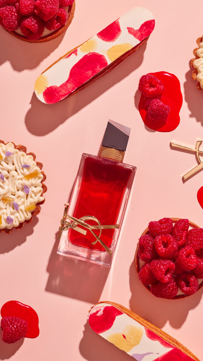 shabo-ysl (צילום: יחצ)