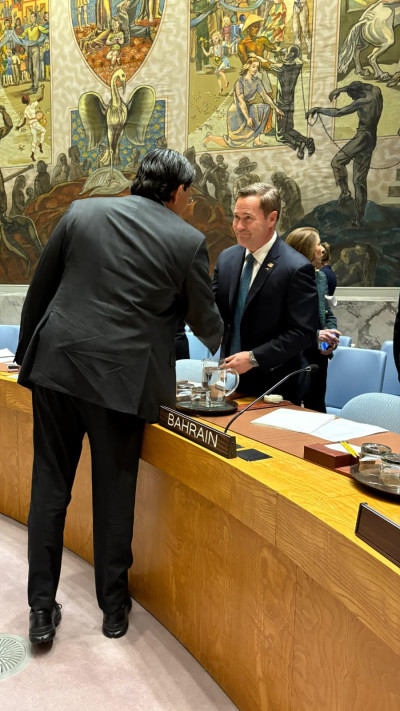 דני דנון באו''ם