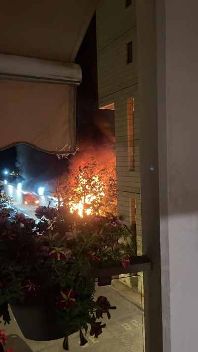 ביתה של ספיר נרקיס (צילום: פרטי)